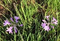 4D034E4D-3BEE-431C-B822-9DFAFDCC7606