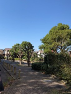 E13FF45B-F8D1-49A5-9D1B-F99A4762715D