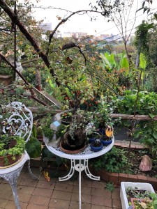 1FE09BB1-746E-4768-9D7C-B63792D2FD6D