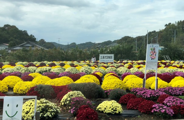 681BB1F4-6AFA-47A3-A994-D77D090C7144