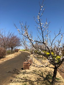 74764522-7AE4-44DB-A973-449E20DA46BA