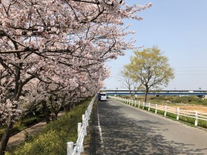 E4CEB93F-6E37-4F88-BD38-747A2B6E64CC