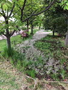 574DAF9F-4477-43EB-98C3-6F79905E245A