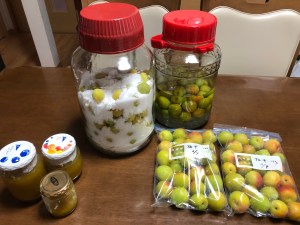 10CD23C1-9818-4FA5-93C1-3A53A1C44096