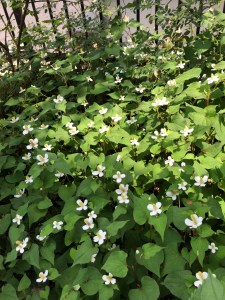 3FEE9F78-0206-4B82-B245-CFA44949E6D5