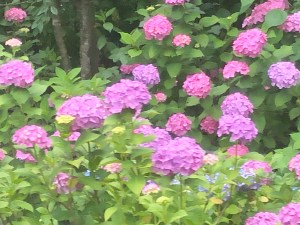 B89DDEE7-52AF-453B-844D-9E6B7F38EC0D