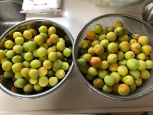 C662792F-5E29-428B-A1A8-EE3DA5400297