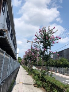 7540C275-365E-4138-B33E-AD386EC5D974