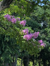 CA5E4D10-08D5-4190-91AF-C260582C13A1