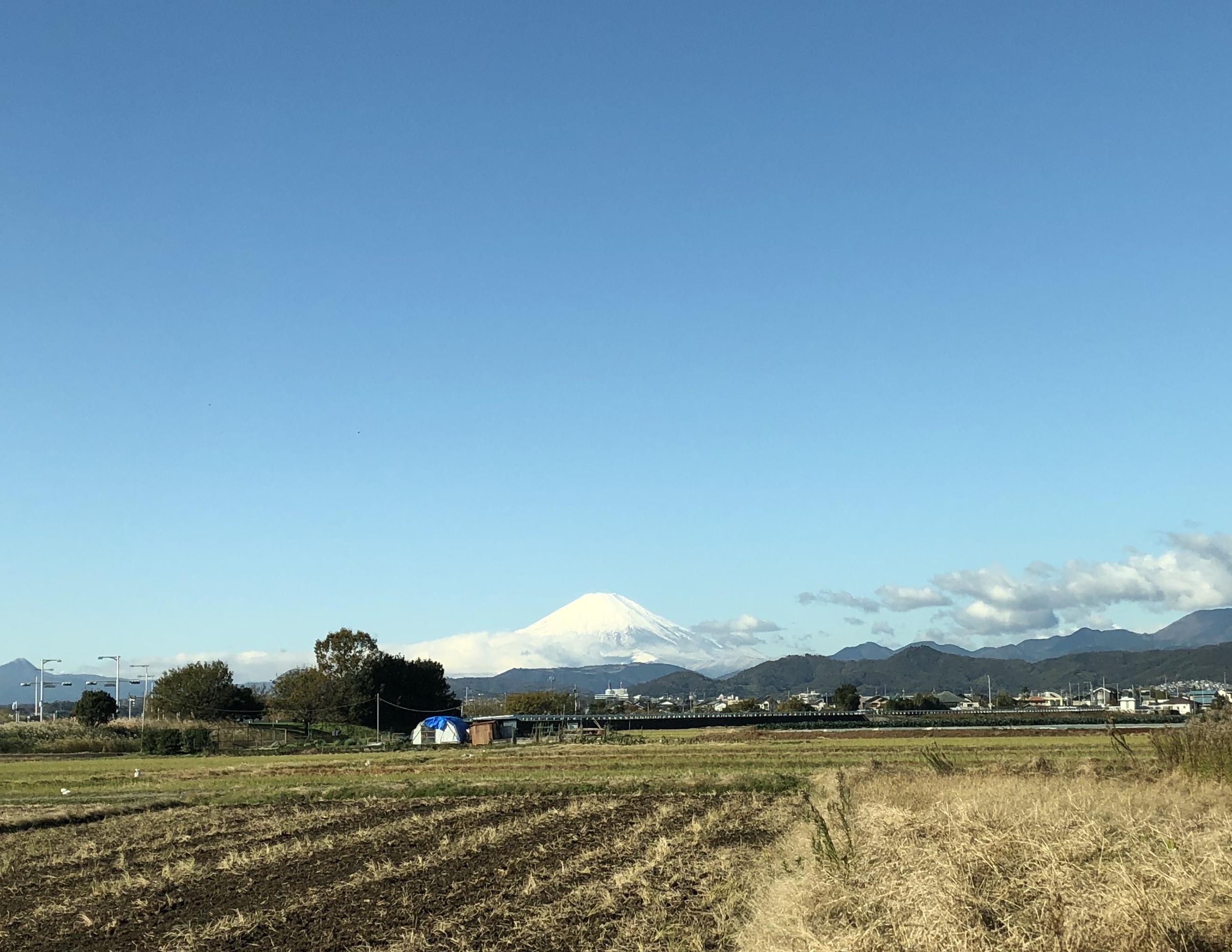 11DDAA1C-A289-4DB7-80A2-82B201A10596