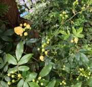 C70A6A0E-398E-42D9-94BB-2FEBA52DAF78