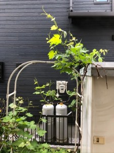 A78A5B65-C3A7-40B0-ABC7-CAABF1231695