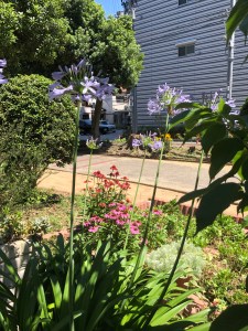 0F2C8963-8432-4786-B66C-19CAC88720EC