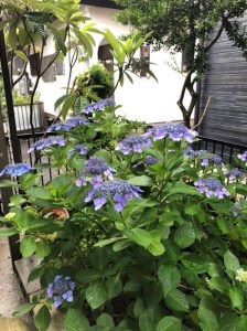 86FAD00B-0A16-45EB-8FC0-B68F65D7BF92