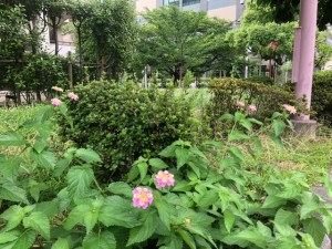 92EE7098-090D-482D-AD92-EF0204B2825E