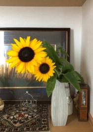 AB163492-C0FE-4C99-8960-79D218EBA930